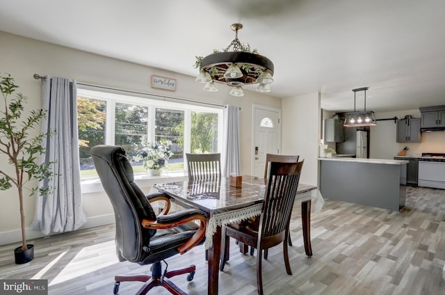 dining space with light hardwood / wood-style flooring