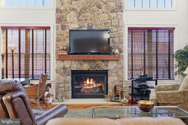 living room featuring a fireplace and wood-type flooring