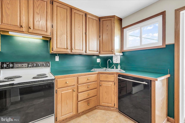 kitchen with black dishwasher, sink, and electric range oven