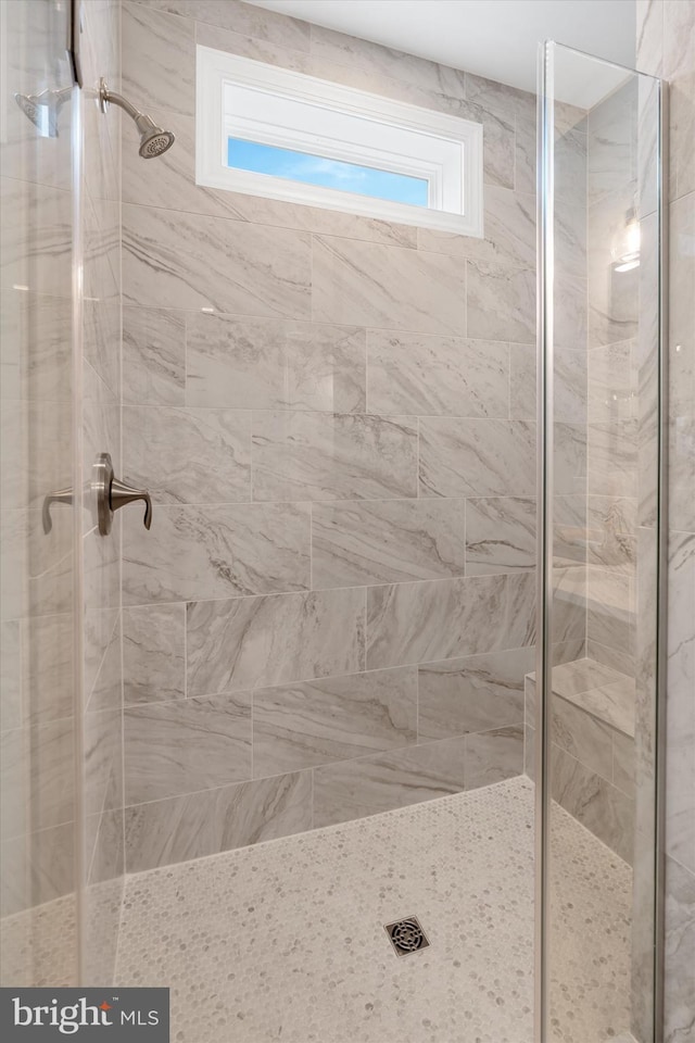 bathroom featuring a shower with shower door