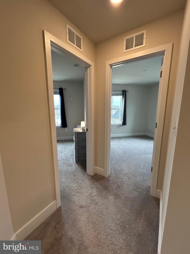 corridor with carpet floors and a healthy amount of sunlight