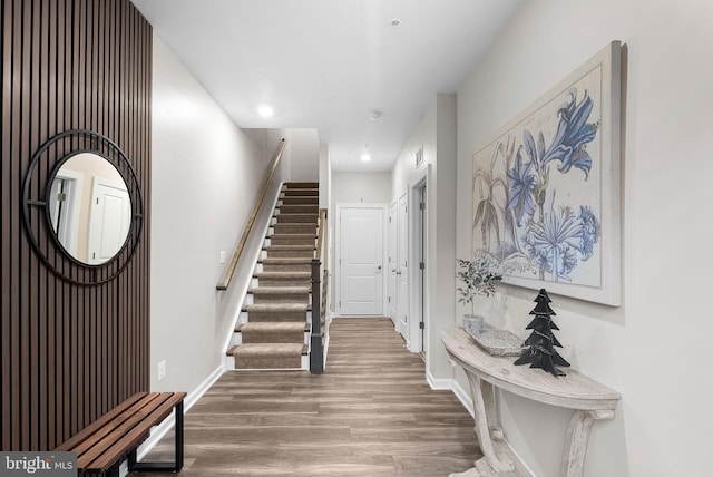 entryway featuring hardwood / wood-style flooring