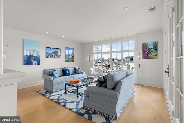 living room with light hardwood / wood-style flooring and a healthy amount of sunlight