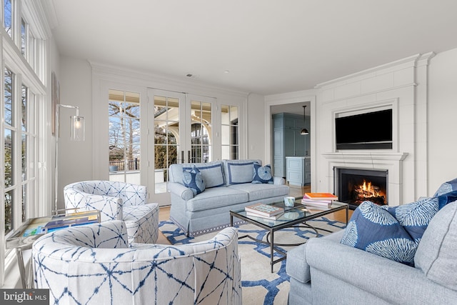 living room with hardwood / wood-style flooring and french doors