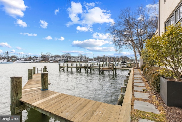 dock area with a water view