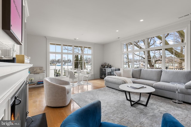 living room with light wood-type flooring