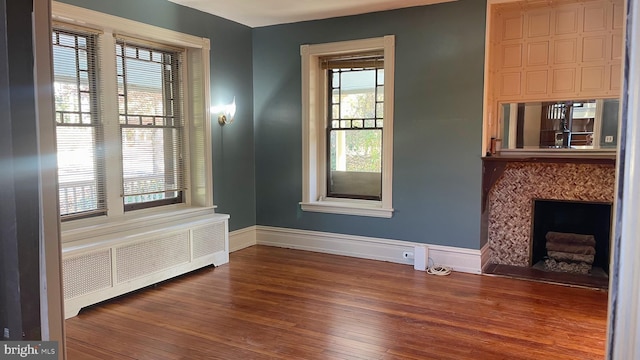 spare room with a healthy amount of sunlight, wood-type flooring, radiator, and a premium fireplace