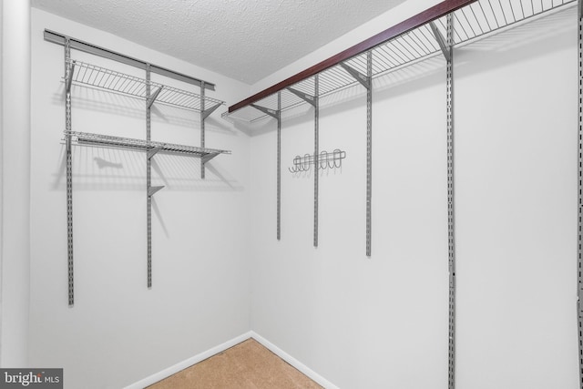 spacious closet with carpet floors