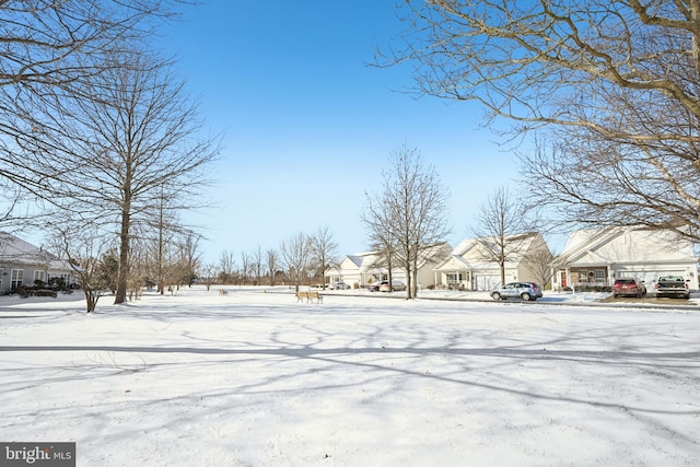 view of yard layered in snow