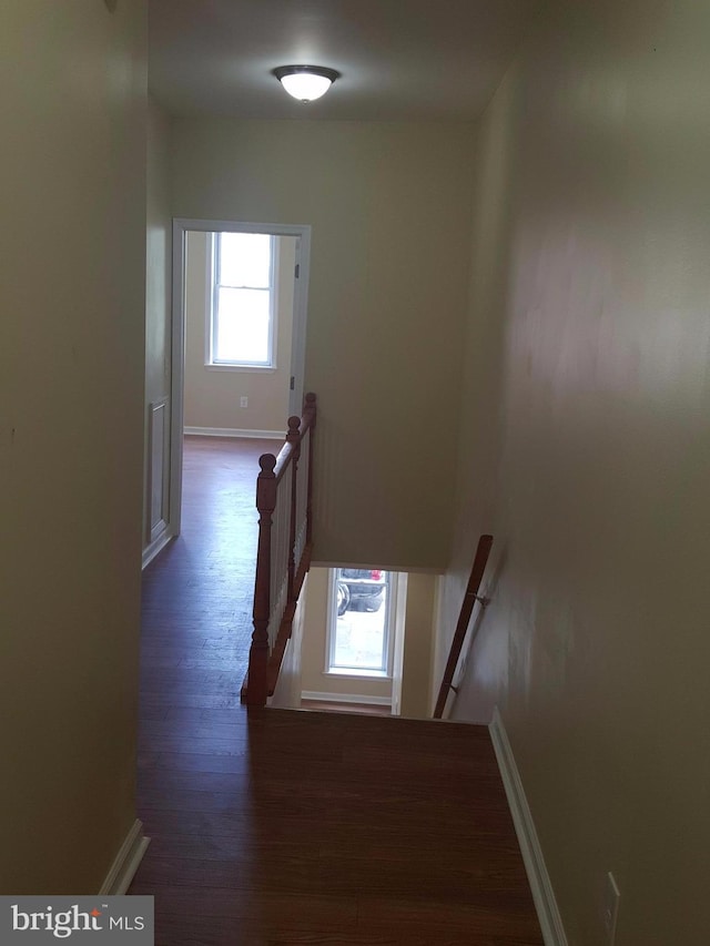 stairway with hardwood / wood-style floors