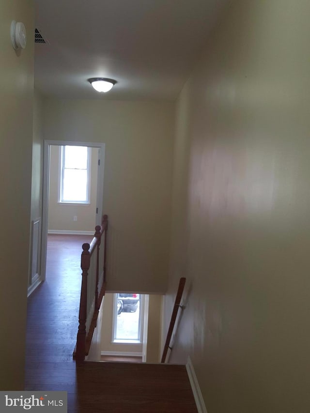 staircase featuring hardwood / wood-style flooring