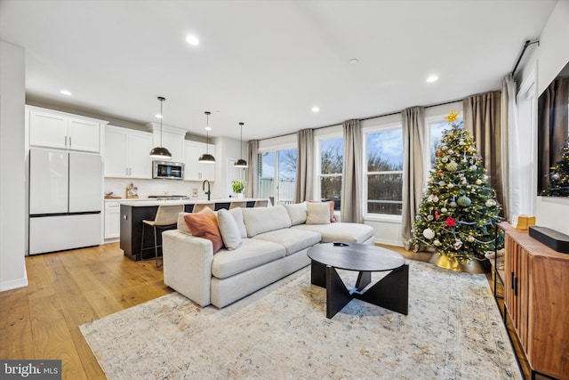 living room featuring light hardwood / wood-style flooring and sink