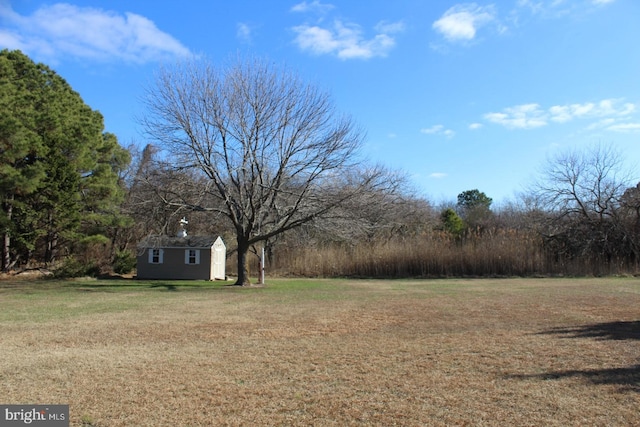 view of yard with a storage shed