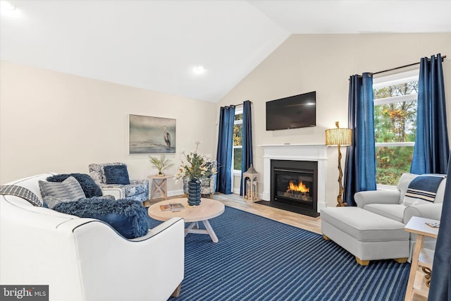 living room with hardwood / wood-style flooring and lofted ceiling