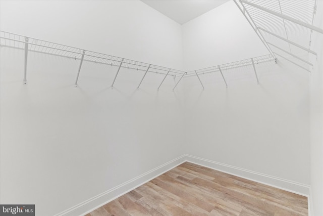 walk in closet with light wood-type flooring