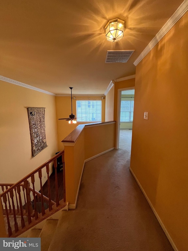 hallway with carpet flooring and crown molding