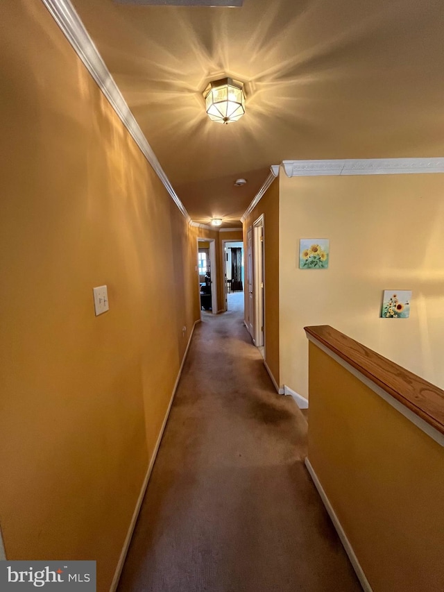 corridor with carpet floors and crown molding