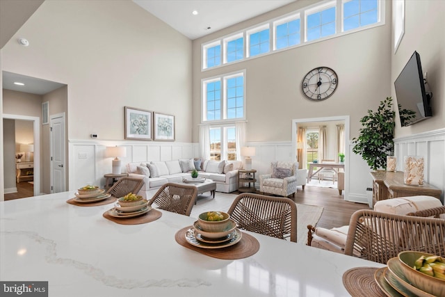 living room featuring a high ceiling and dark hardwood / wood-style flooring