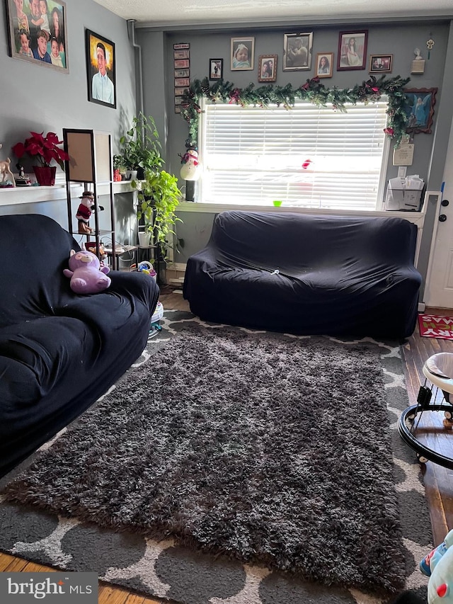 living room with hardwood / wood-style flooring