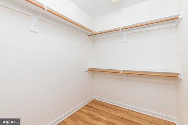 spacious closet featuring hardwood / wood-style flooring