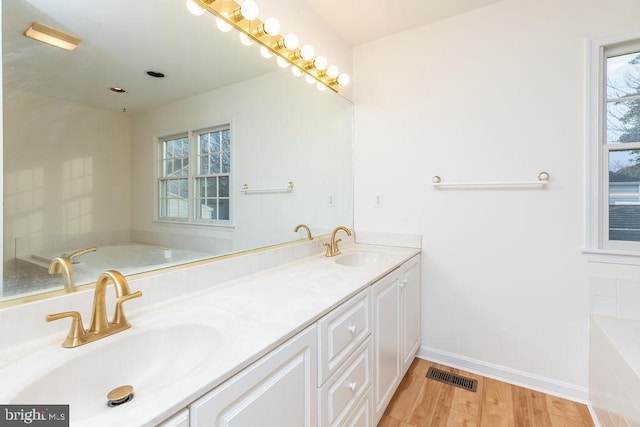 bathroom featuring a wealth of natural light, vanity, and wood-type flooring