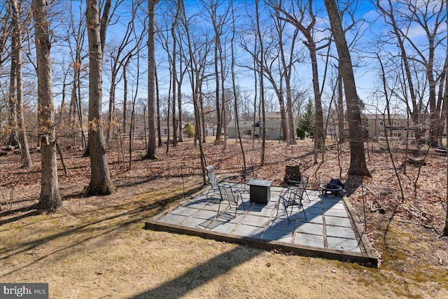 view of yard with a patio area