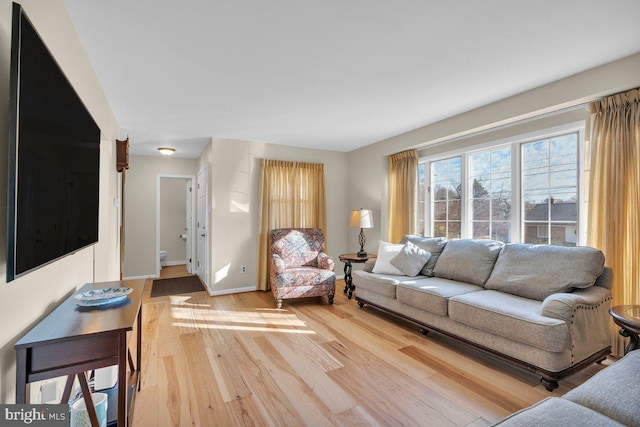 living room featuring wood-type flooring