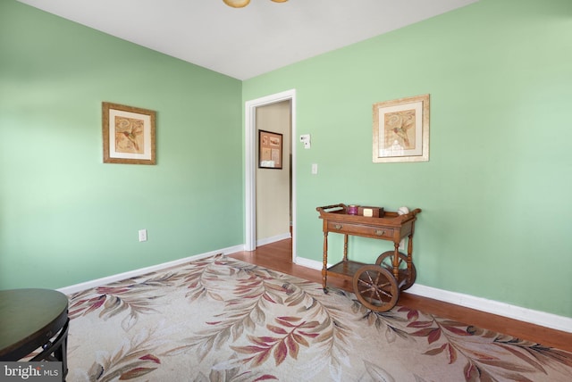 bedroom featuring wood-type flooring