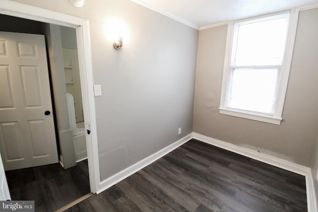 interior space with dark hardwood / wood-style flooring and ornamental molding