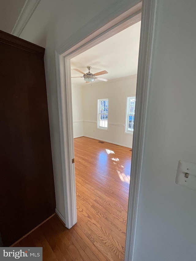 corridor featuring light hardwood / wood-style floors