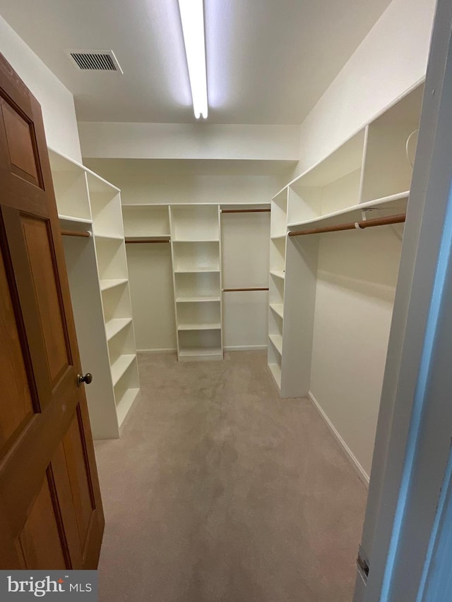 spacious closet featuring light colored carpet