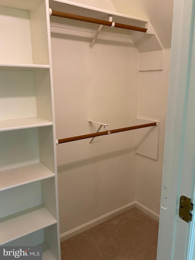 spacious closet with carpet