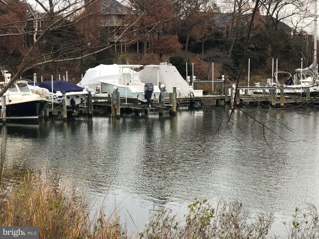 water view with a dock