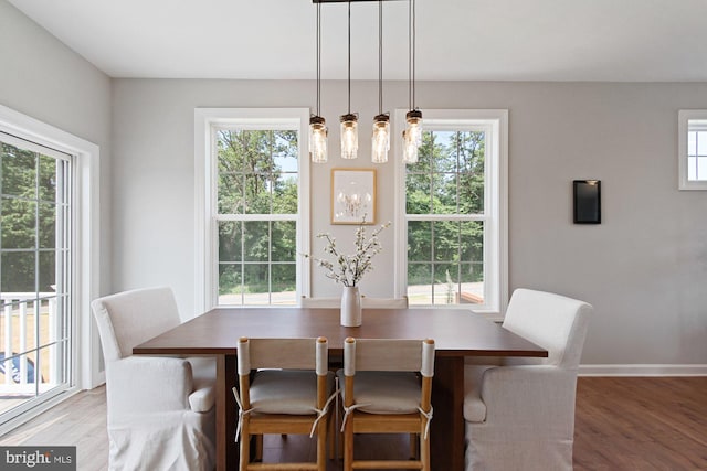 dining room featuring hardwood / wood-style floors and a healthy amount of sunlight