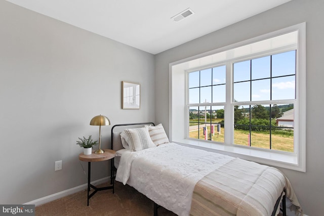 bedroom featuring carpet flooring and multiple windows