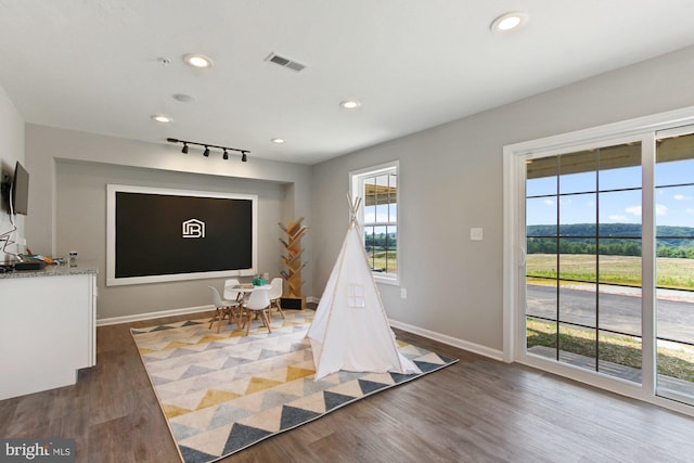 game room with a wealth of natural light and dark hardwood / wood-style floors