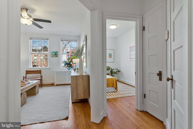 hallway with radiator heating unit and light wood-type flooring