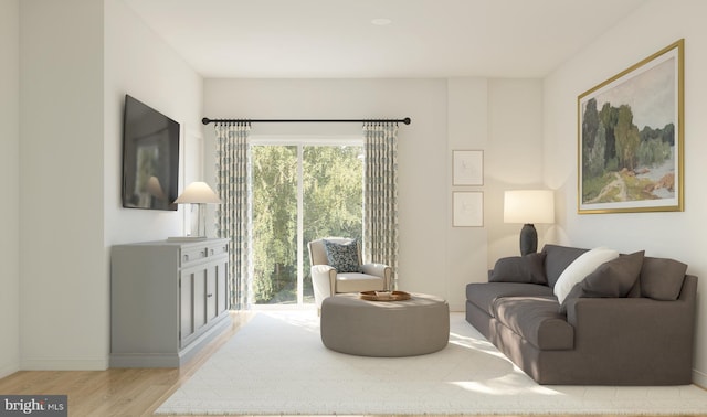 living room featuring light hardwood / wood-style flooring