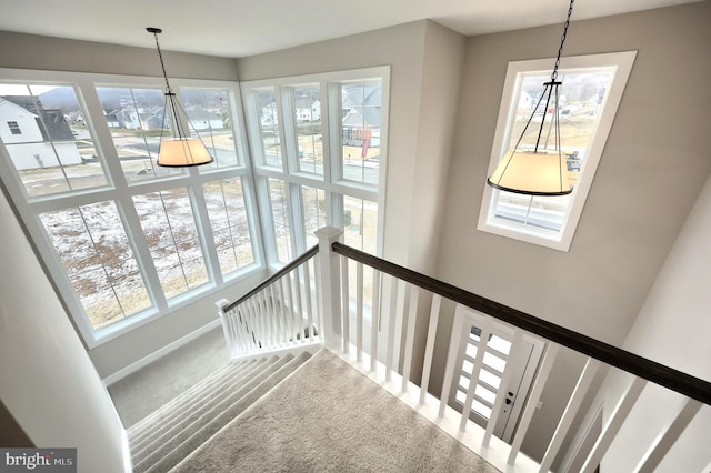 stairs featuring carpet floors