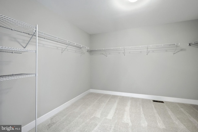 walk in closet featuring carpet