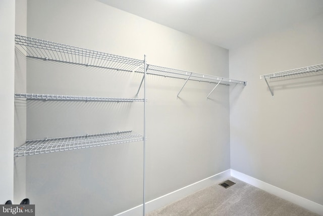 spacious closet with carpet