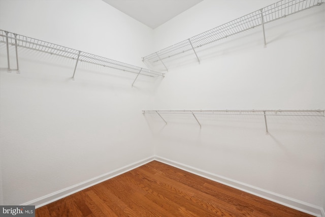 walk in closet featuring hardwood / wood-style flooring