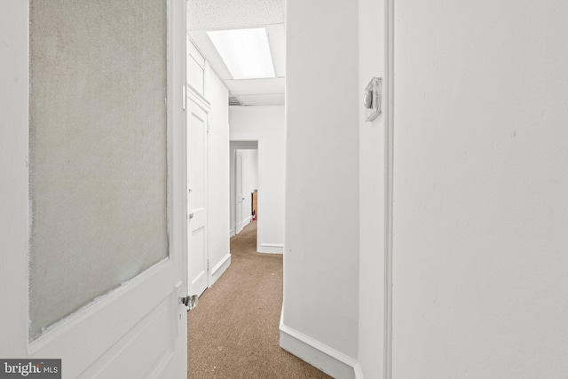 hall featuring carpet flooring