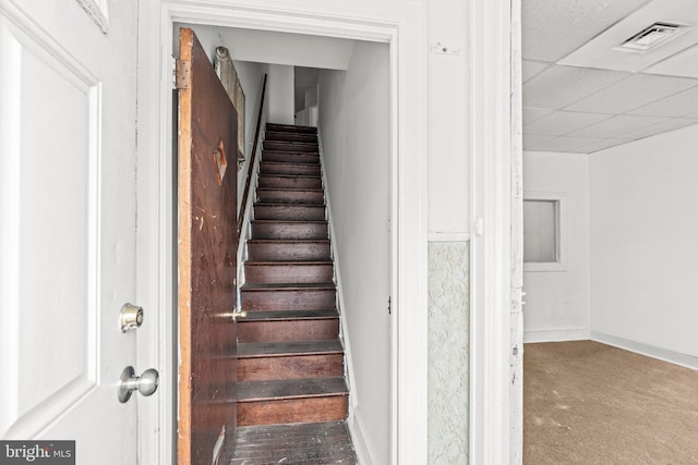 stairway featuring carpet and a drop ceiling