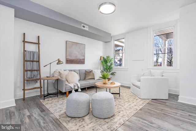 living room featuring hardwood / wood-style floors and a healthy amount of sunlight