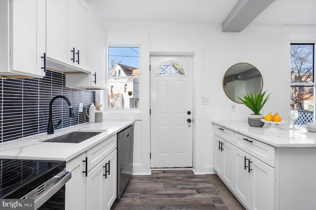 kitchen featuring white cabinets, dishwasher, a healthy amount of sunlight, and sink