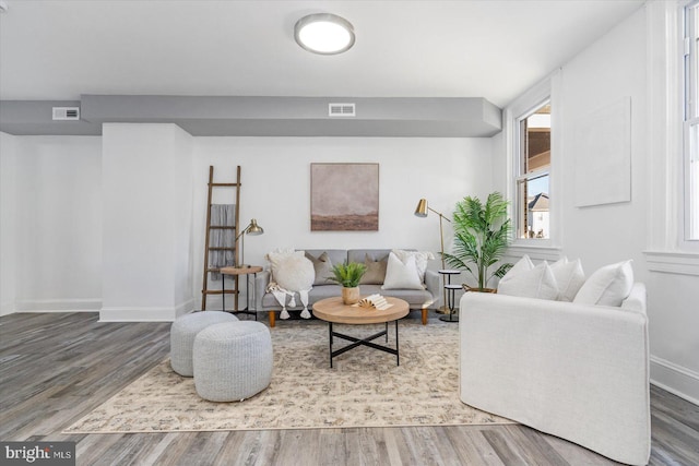 living room featuring hardwood / wood-style floors