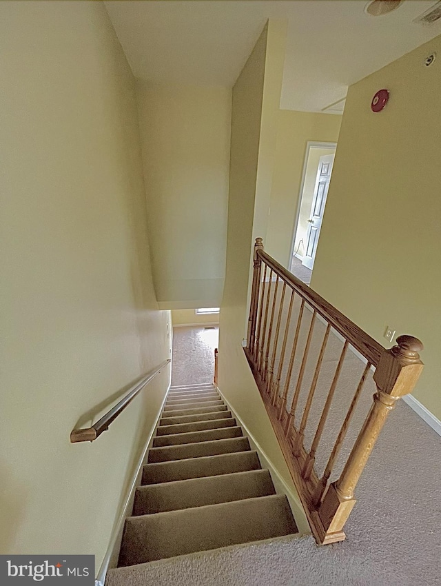 staircase with carpet