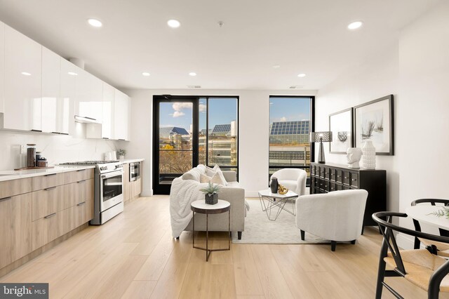 living room featuring light hardwood / wood-style floors