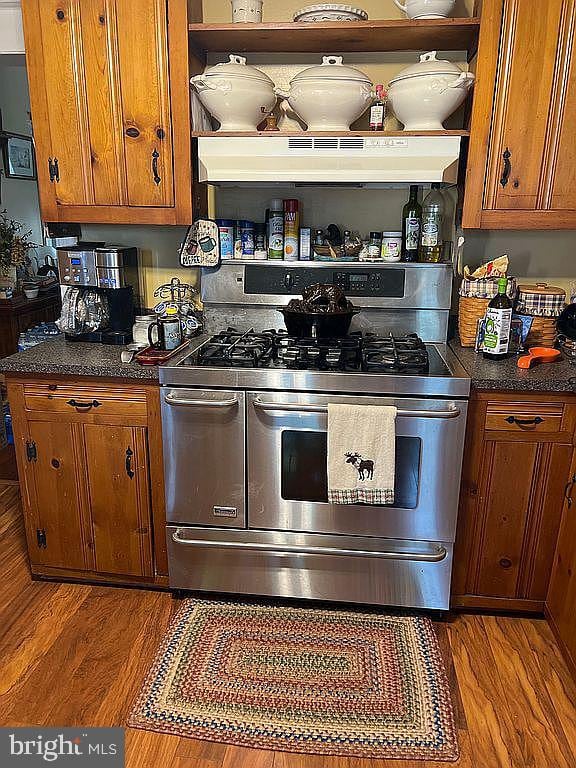 kitchen featuring gas stove, dark hardwood / wood-style flooring, and exhaust hood